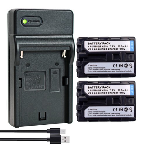 Batteria caricabatterie - 2x,